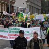 Manifestacja Działkowców w Szczecinie w dniu 20.09.2013r.